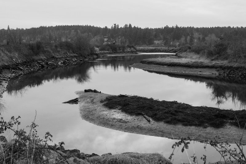 Christmas Day, Dull and Gray