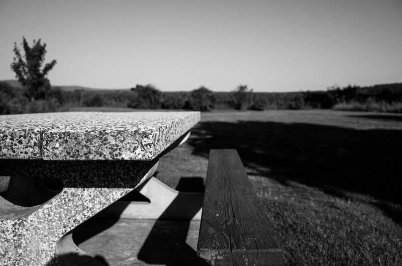 Picnic Options