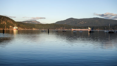 Cowichan Bay & Estuary