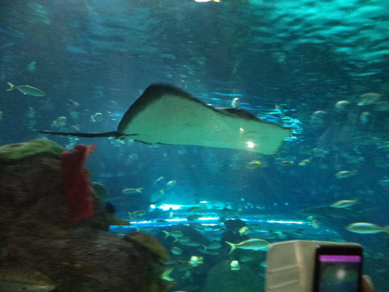 DSC00546.JPG