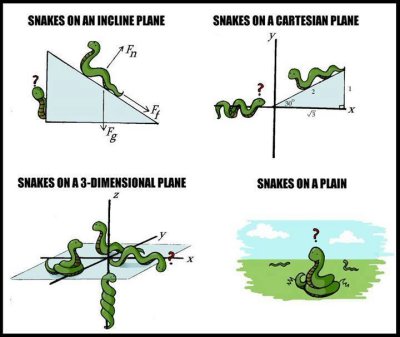 Snakes on a plane.jpg