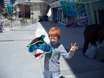 aquarium_pics