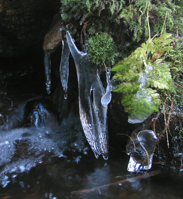 Little winter goddess melts for spring