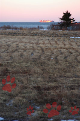 making tracks.jpg
