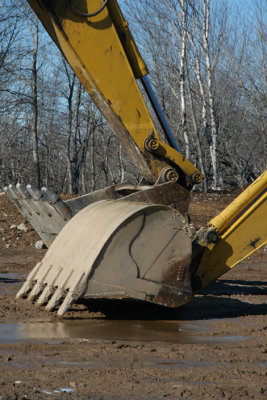 truckbirdydiggerdog.jpg