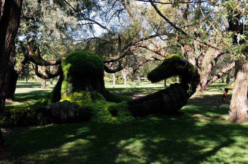 DS0_2089.JPG