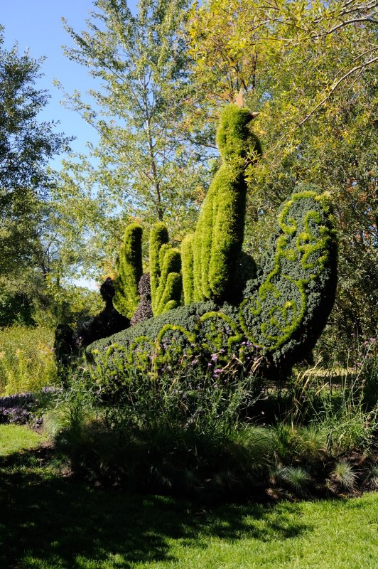 DS0_2095.JPG