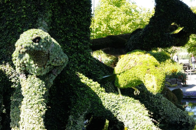 DS0_2128.JPG