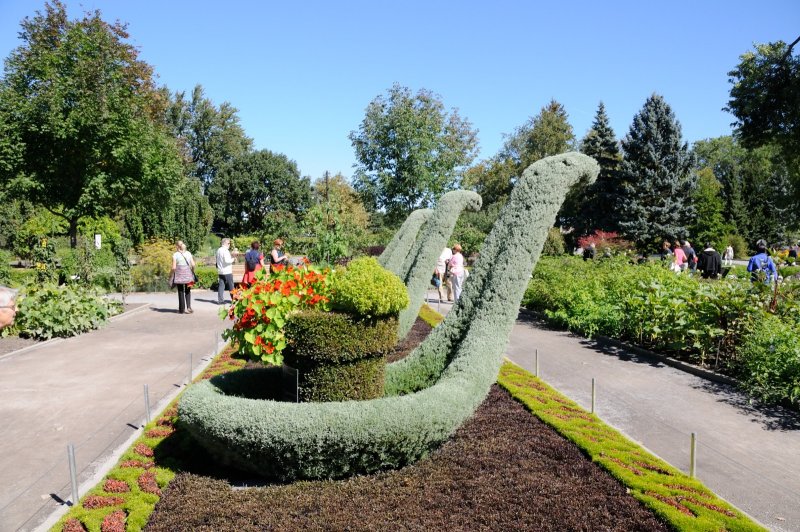 DS0_2137.JPG