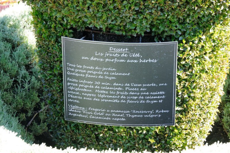 DS0_2140.JPG