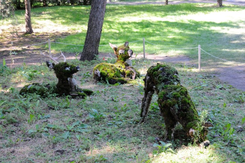 DS0_2150.JPG