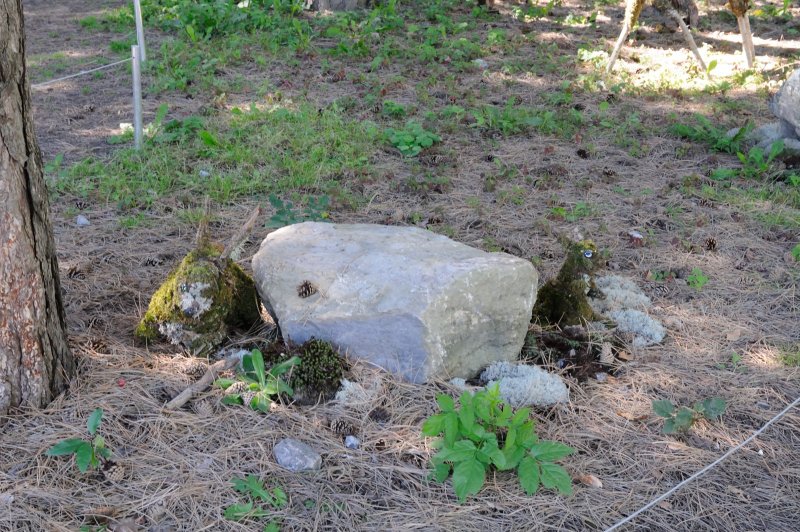 DS0_2152.JPG
