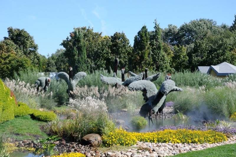 DS0_2154.JPG