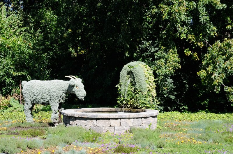 DS0_2162.JPG