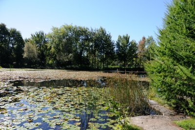 DS0_2094.JPG