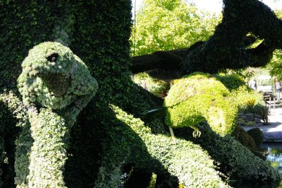 DS0_2128.JPG