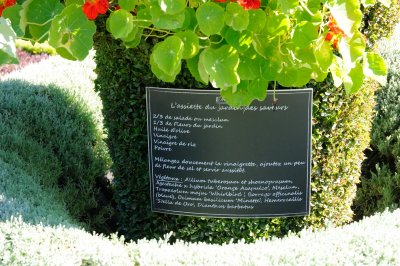 DS0_2138.JPG