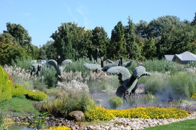 DS0_2154.JPG