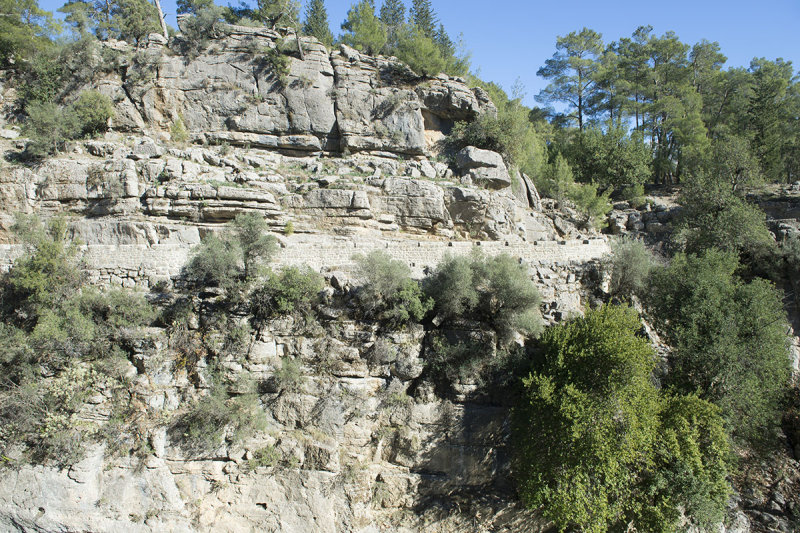 Selge December 2013 5060.jpg