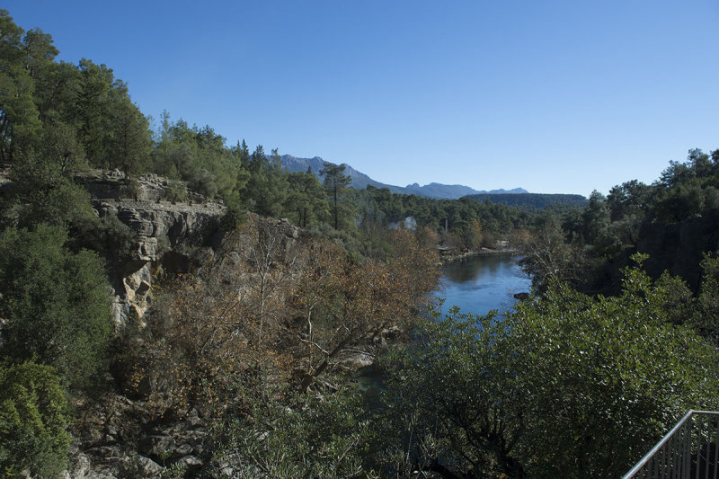 Selge December 2013 5064.jpg