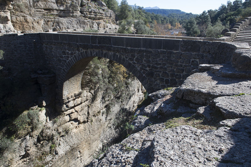 Selge December 2013 5072.jpg