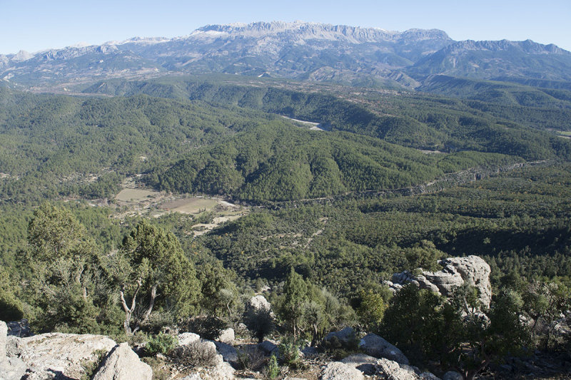 Selge December 2013 5077.jpg