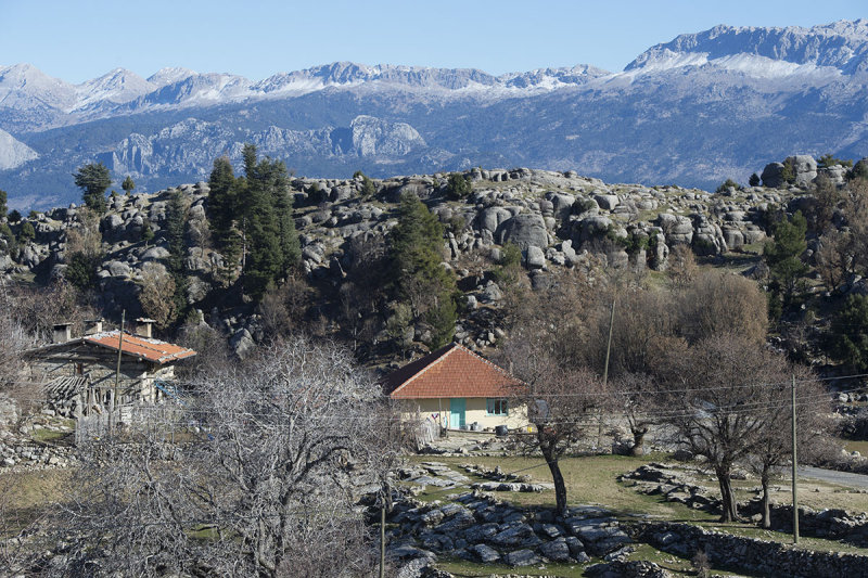 Selge December 2013 5089.jpg