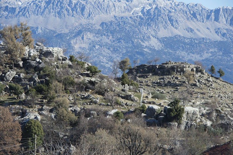 Selge December 2013 5091.jpg