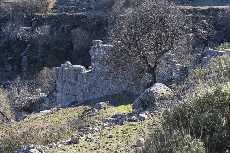 Selge December 2013 5116.jpg