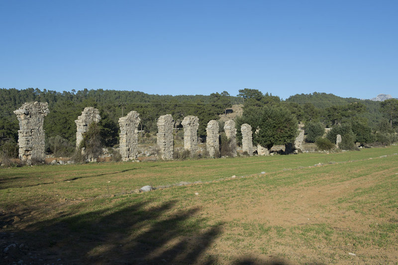 Selge December 2013 5150.jpg