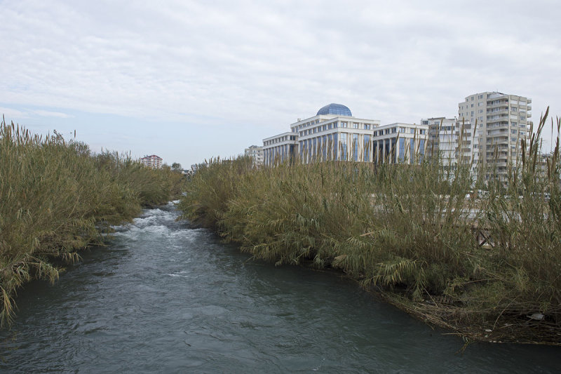 Antalya December 2013 4775.jpg