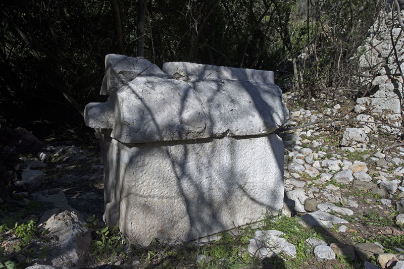 Olympos December 2013 4043.jpg