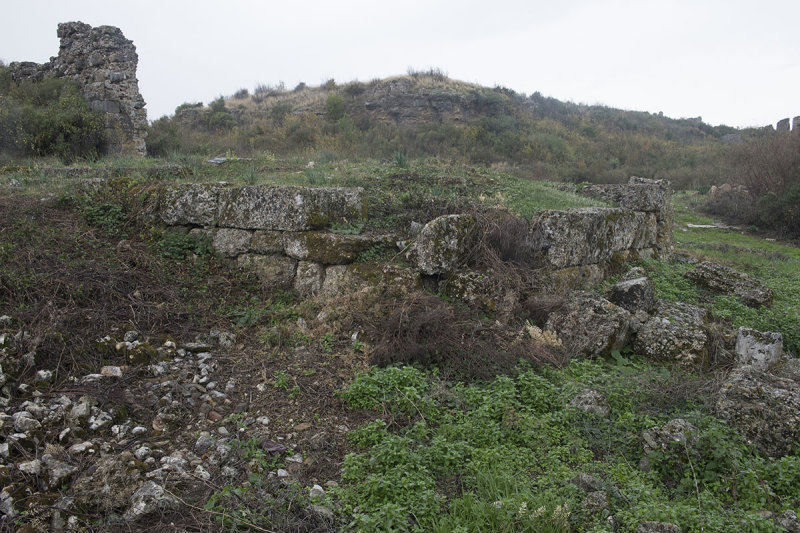 Aspendos December 2013 3254.jpg