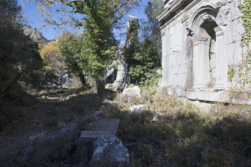 Termessos December 2013 3328.jpg