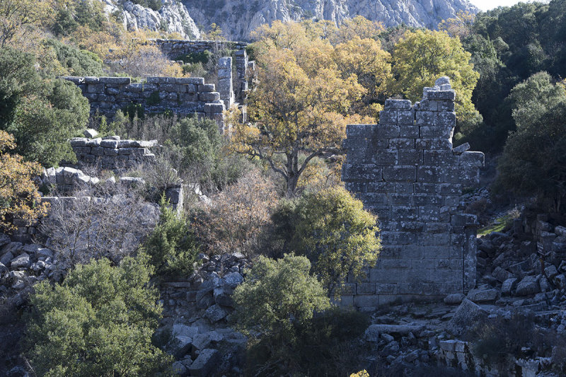 Termessos December 2013 3362.jpg