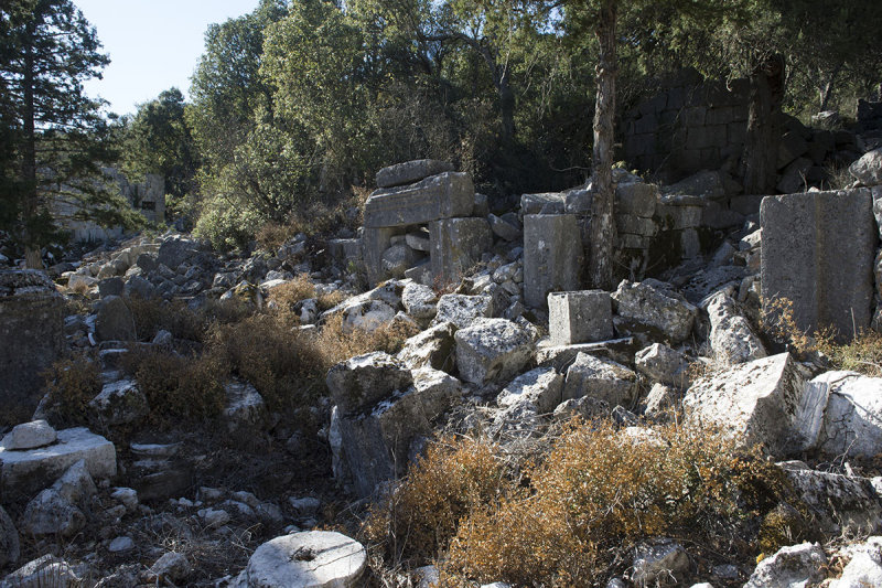 Termessos December 2013 3385.jpg