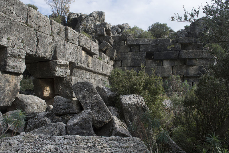Pinara December 2013 4534.jpg