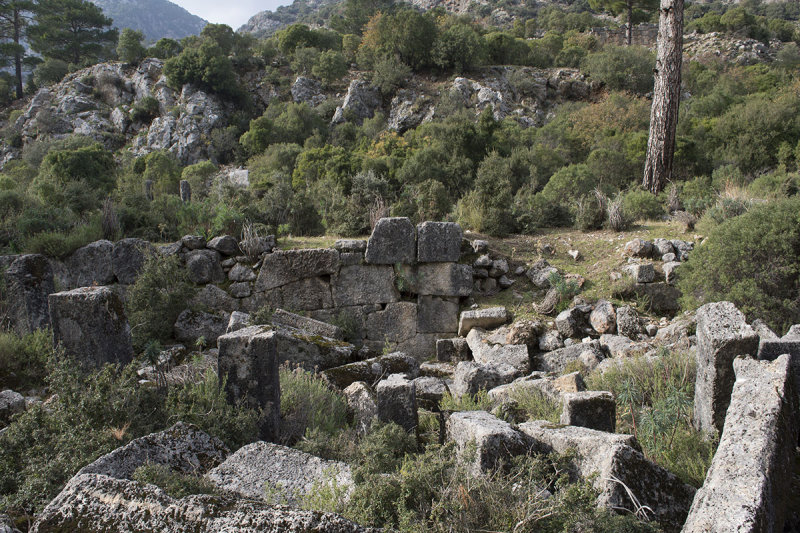 Pinara December 2013 4541.jpg