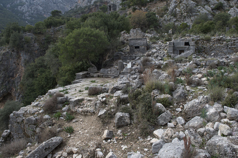 Pinara December 2013 4563.jpg
