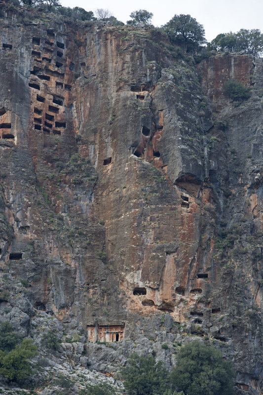 Pinara December 2013 4571.jpg