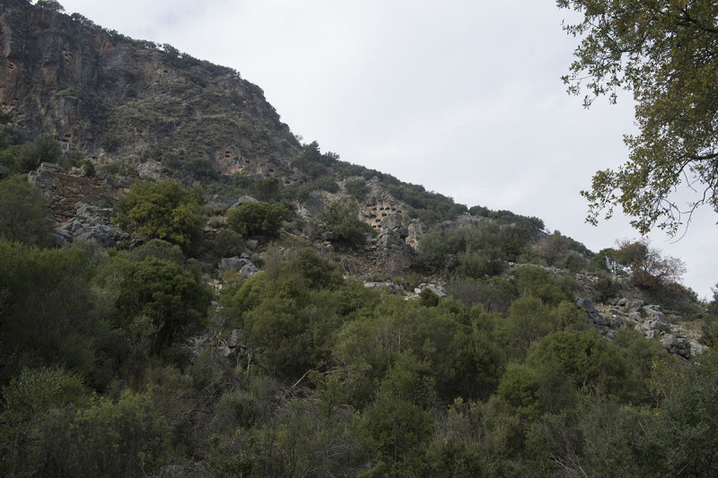 Pinara December 2013 4572.jpg
