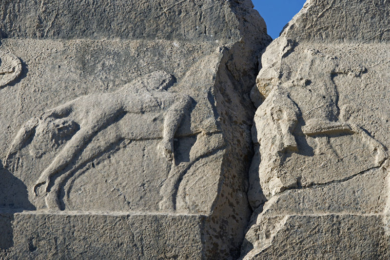 Xanthos December 2013 4399.jpg