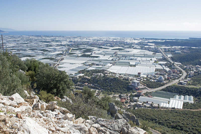 Demre Nicolas December 2013 4135.jpg