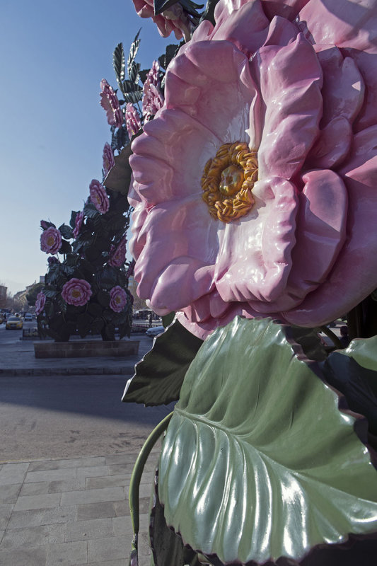 Isparta December 2013 5008.jpg
