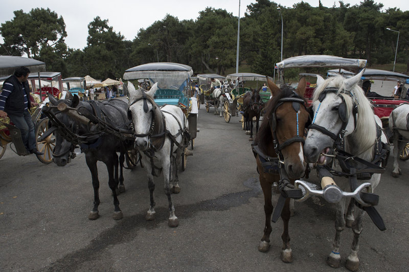 Istanbul Big Princes Island May 2014 6590.jpg