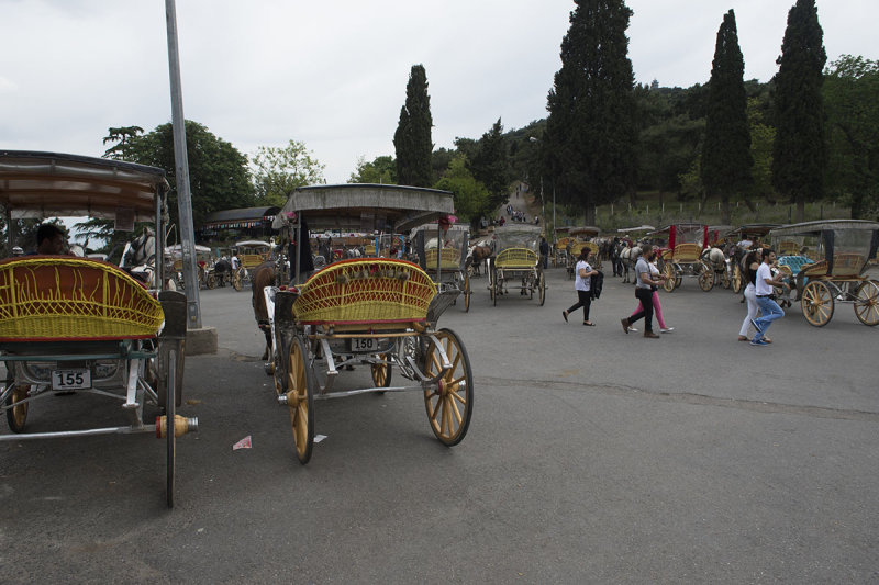 Istanbul Big Princes Island May 2014 6591.jpg