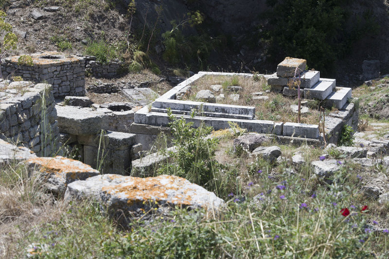 Troy May 2014 7799.jpg