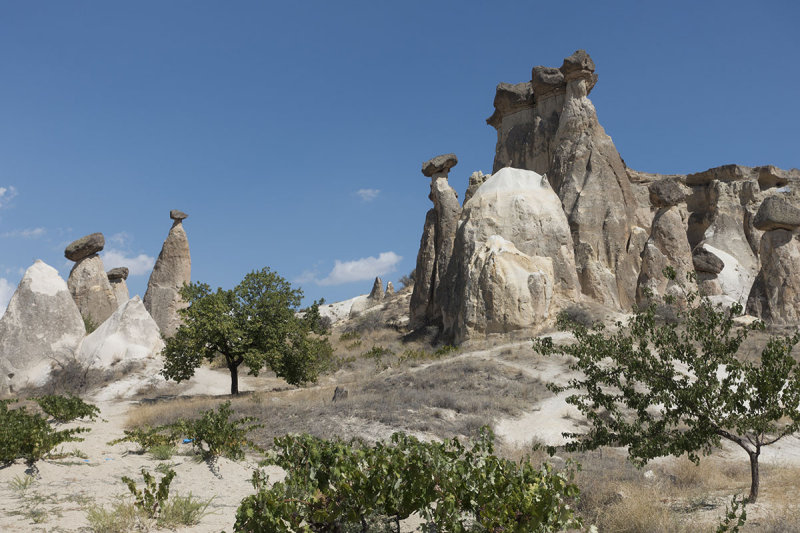 Cappadocia Sunset Valley walk september 2014 0625.jpg