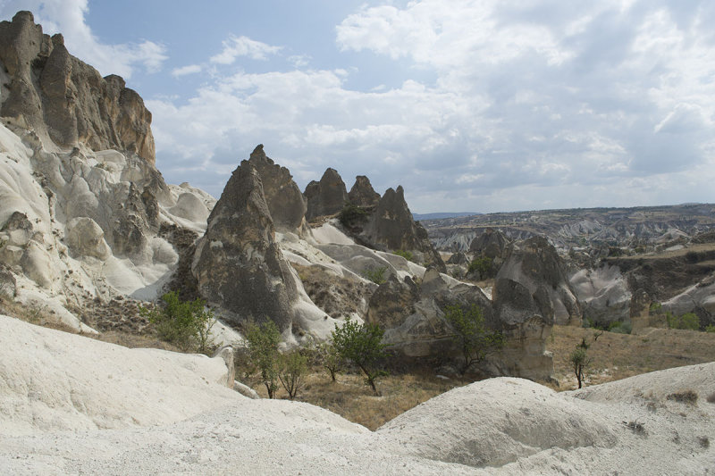 Cappadocia fox country Urgup september 2014 1759.jpg