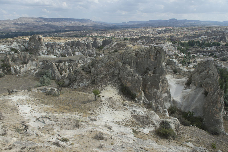 Cappadocia fox country Urgup september 2014 1766.jpg